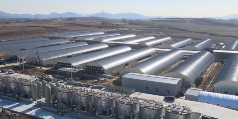 微信图片_20241121143159